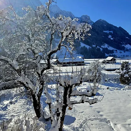 Nouveau A - Gstaad Dans 1830